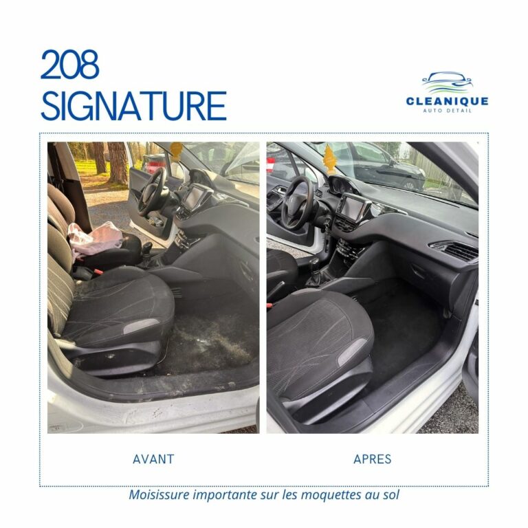 Désinfection et nettoyage profond de moisissure